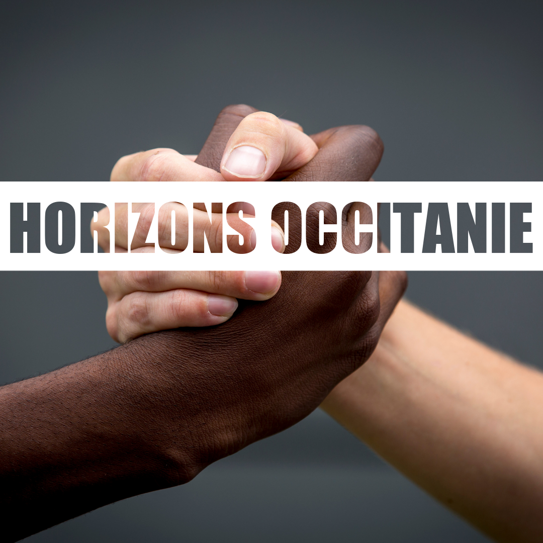 Bilan Mi-Parcours du pic Réfugiés en Occitanie