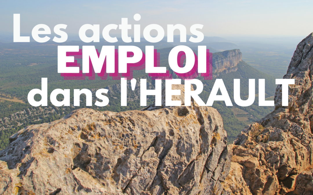 Actions emploi dans l’Hérault