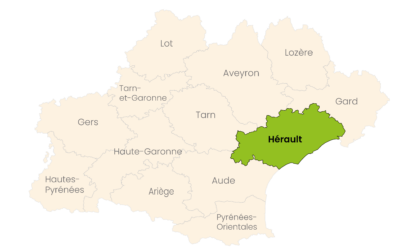 L’actu dans l’Hérault